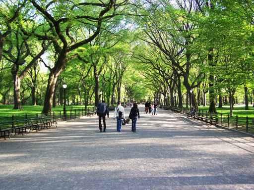 Strolling Central Park Wall Decal