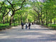 Strolling Central Park Wall Decal