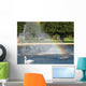 Swan Wall Mural