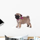Pug Puppy White Wall Decal