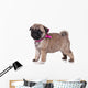 Pug Puppy White Wall Decal