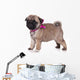 Pug Puppy White Wall Decal