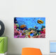 Photo of a Coral Colony on a Reef Wall Mural