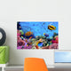 Photo of a Coral Colony on a Reef Wall Mural