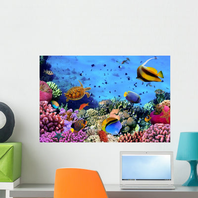 Photo Coral Colony Reef Wall Mural shown on a wall