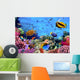 Photo of a Coral Colony on a Reef Wall Mural
