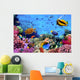 Photo of a Coral Colony on a Reef Wall Mural