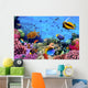 Photo of a Coral Colony on a Reef Wall Mural