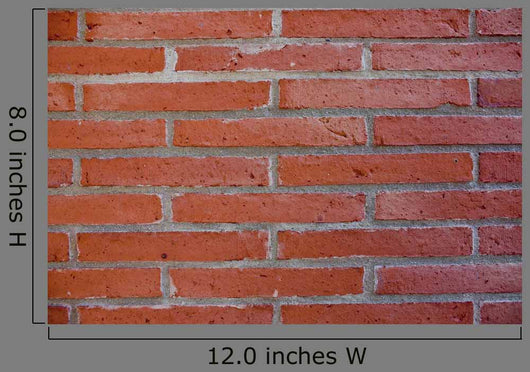 Muro