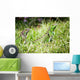 Reptiles Wall Mural