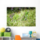 Reptiles Wall Mural