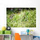 Reptiles Wall Mural