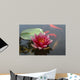 Nenuphare Wall Decal