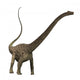 Diplodocus 01