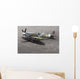 A British Spitfire Fighter Plane Wall Mural