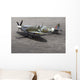 A British Spitfire Fighter Plane Wall Mural