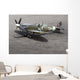 A British Spitfire Fighter Plane Wall Mural