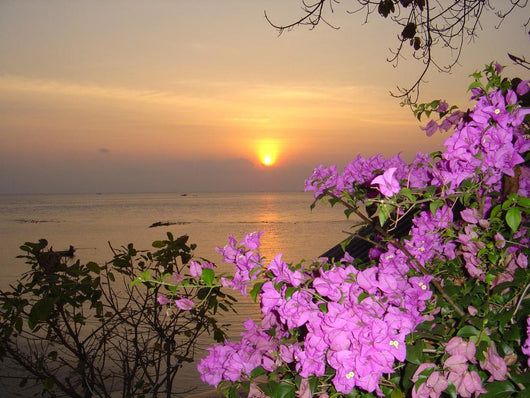 Sunset Wall Mural