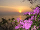 Sunset Wall Mural