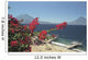 Lake Atitlan, Guatemala Wall Mural