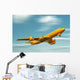 Airplane Wall Mural