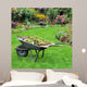 Wheelbarrow with Green Cuttings