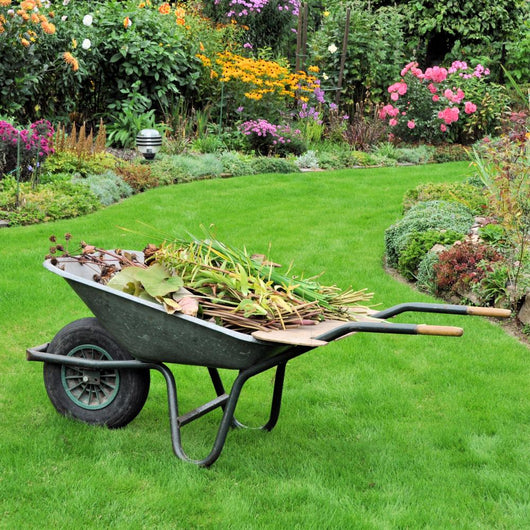 Wheelbarrow with Green Cuttings