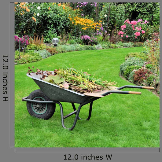 Wheelbarrow with Green Cuttings