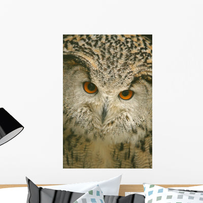 Owl shown on a wall