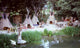 Indian Tepees Wall Mural