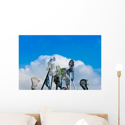 Lacrosse Sticks Sky shown on a wall