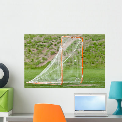 Lacrosse Ball Net for Wall Mural shown on a wall