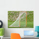 Lacrosse Ball Net for Wall Mural