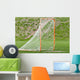 Lacrosse Ball Net for Wall Mural