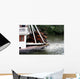 Riverboat Wall Mural