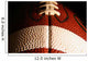 Football Front Wall Mural