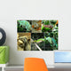 Reptiles Wall Mural