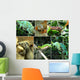 Reptiles Wall Mural