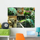 Reptiles Wall Mural