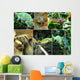 Reptiles Wall Mural