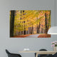 Bike Path through Autumn Wall Mural