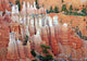 Bryce Canyon Point Wall Decal