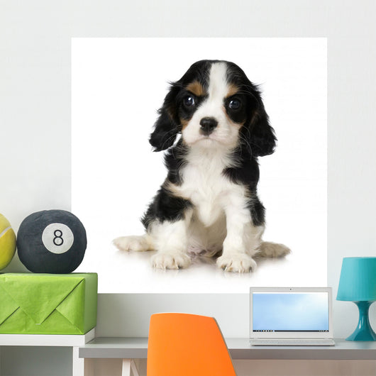 Cavalier King Charles Spaniel Wall Decal