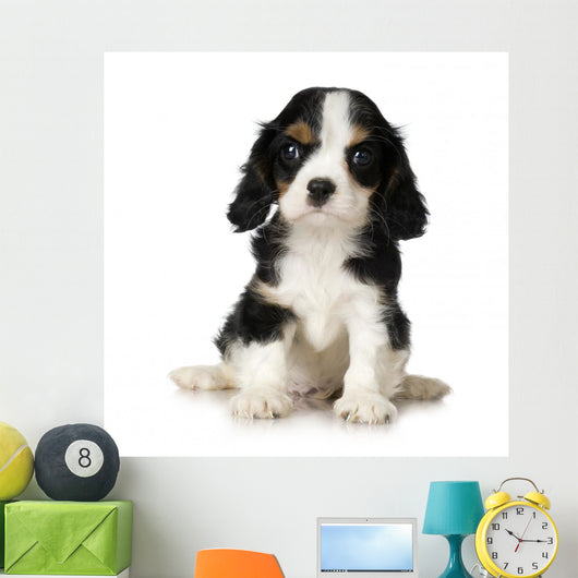 Cavalier King Charles Spaniel Wall Decal