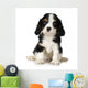 Cavalier King Charles Spaniel Wall Decal