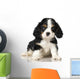 Cavalier King Charles Spaniel puppy Wall Decal
