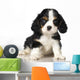 Cavalier King Charles Spaniel puppy Wall Decal