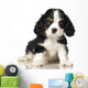 Cavalier King Charles Spaniel puppy Wall Decal
