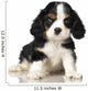 Cavalier King Charles Spaniel puppy Wall Decal