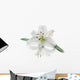 White Lily Flower Wall Decal